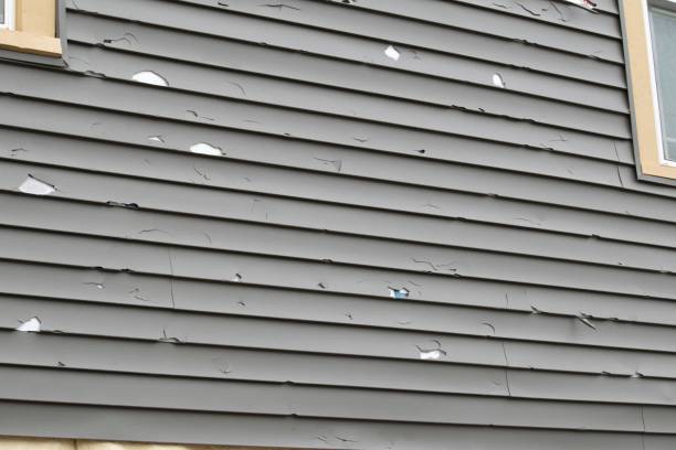 Affordable Siding Repair and Maintenance Services in Warrensburg, IL