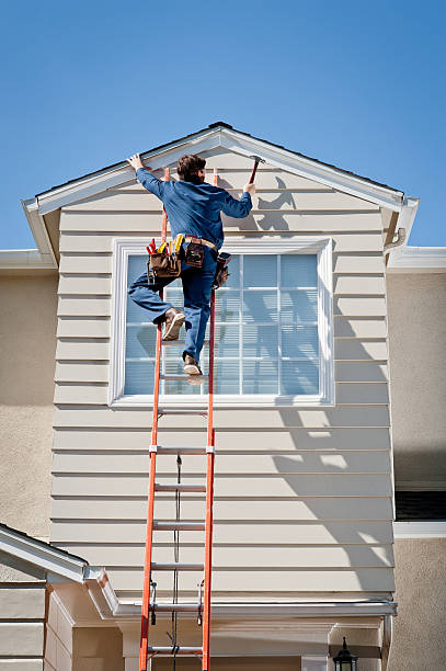 Best Custom Trim and Detailing for Siding  in Warrensburg, IL